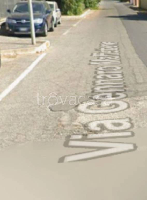 immagine annuncio 4 di 14