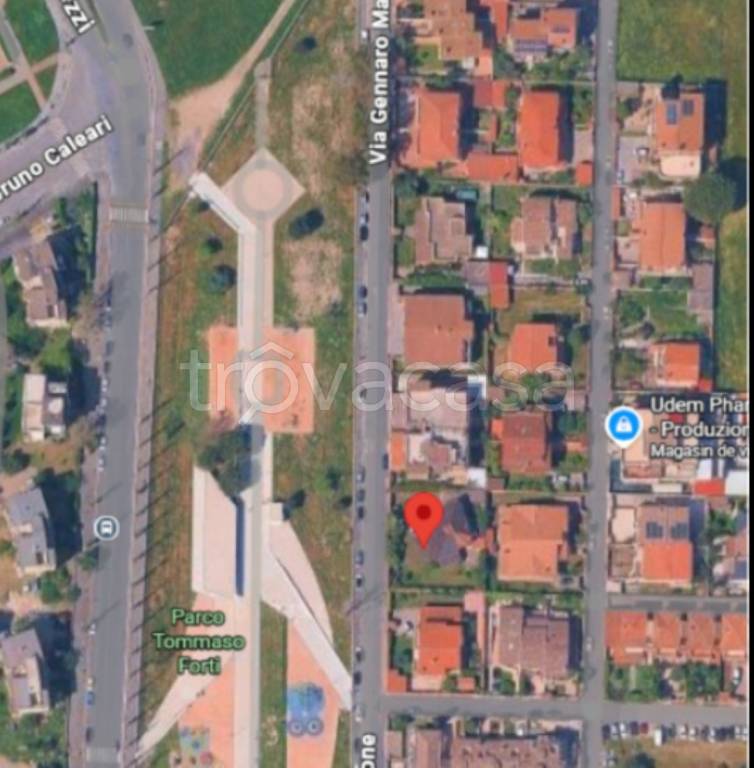 immagine annuncio 12 di 14