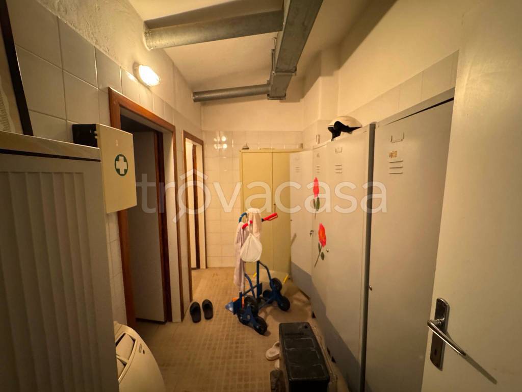 immagine annuncio 12 di 14