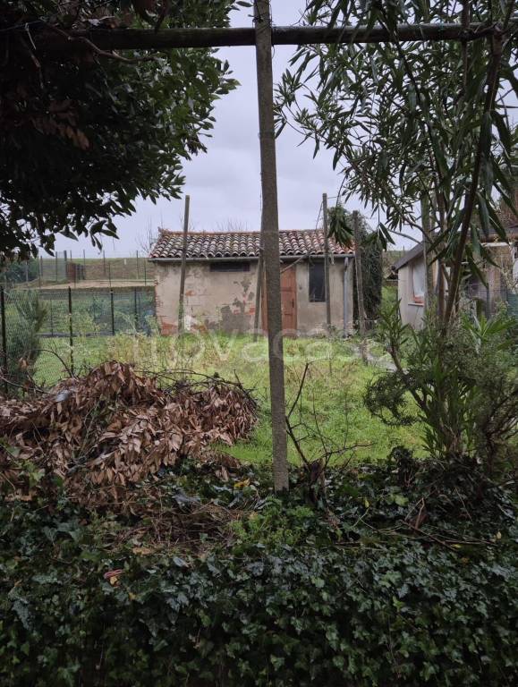 immagine annuncio 1 di 2