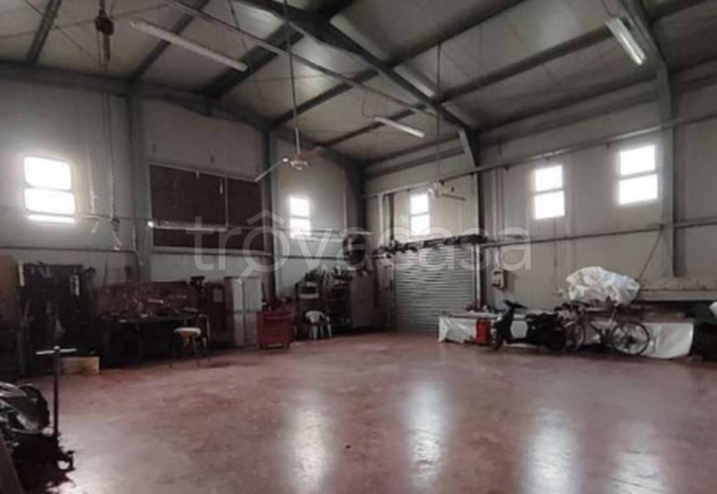 immagine annuncio 8 di 11