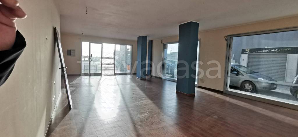 immagine annuncio 1 di 7