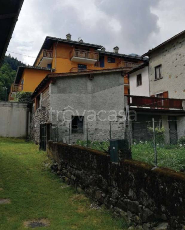 immagine annuncio 12 di 13