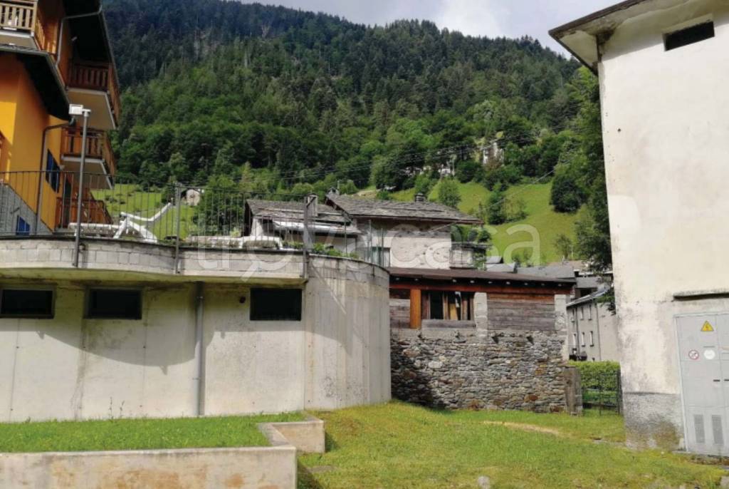 immagine annuncio 3 di 13