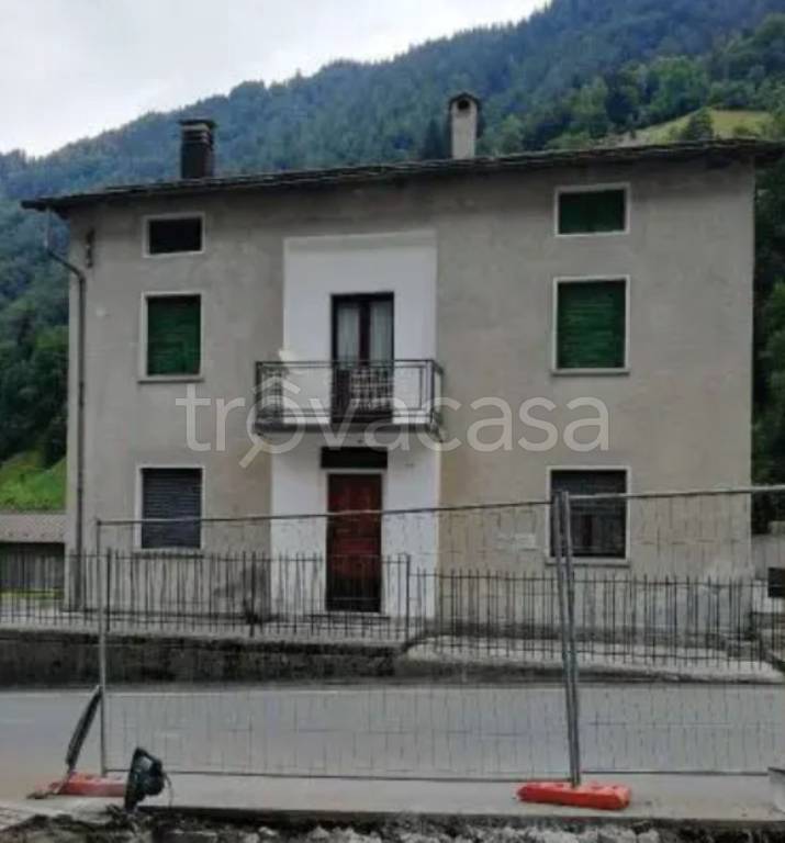 immagine annuncio 11 di 13