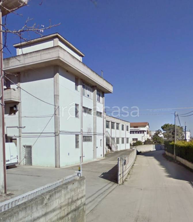 immagine annuncio 3 di 12