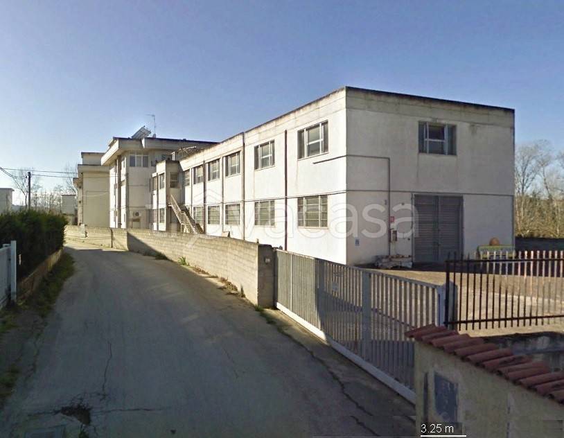 immagine annuncio 4 di 12