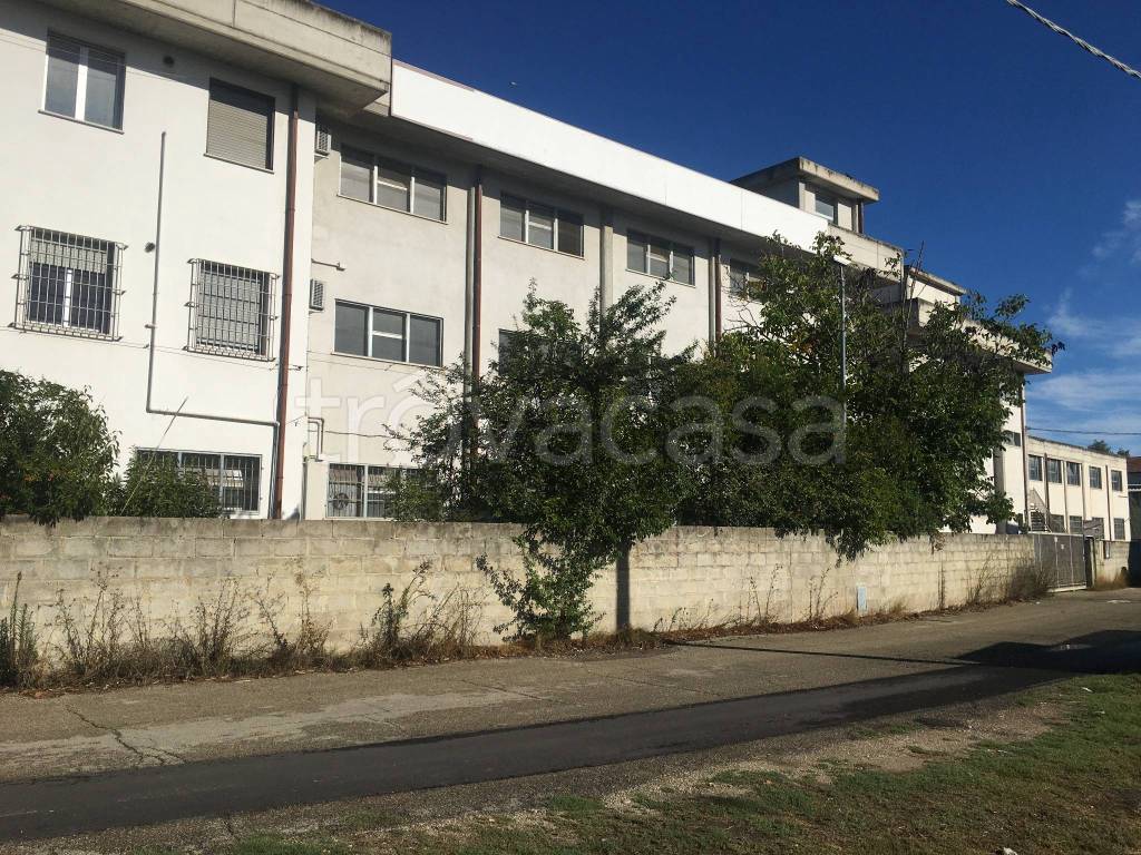 immagine annuncio 8 di 12