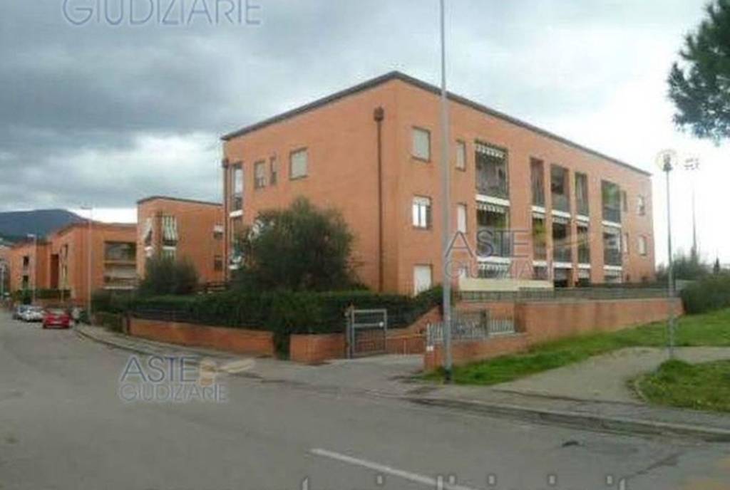 immagine annuncio 4 di 8