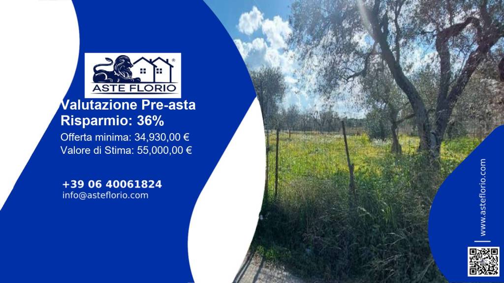 immagine annuncio 1 di 8