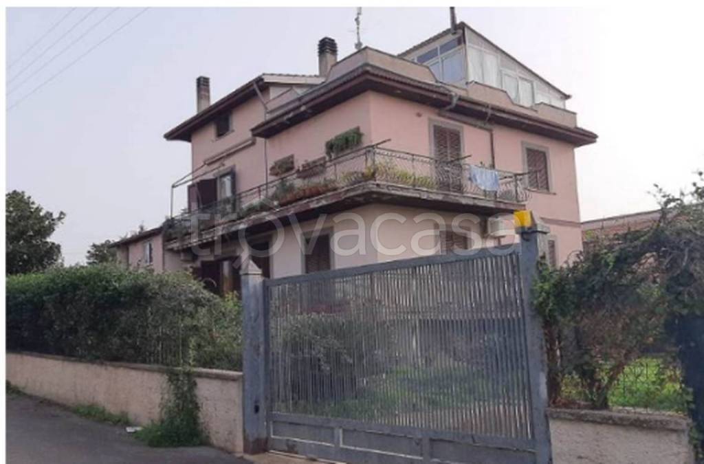 immagine annuncio 3 di 11