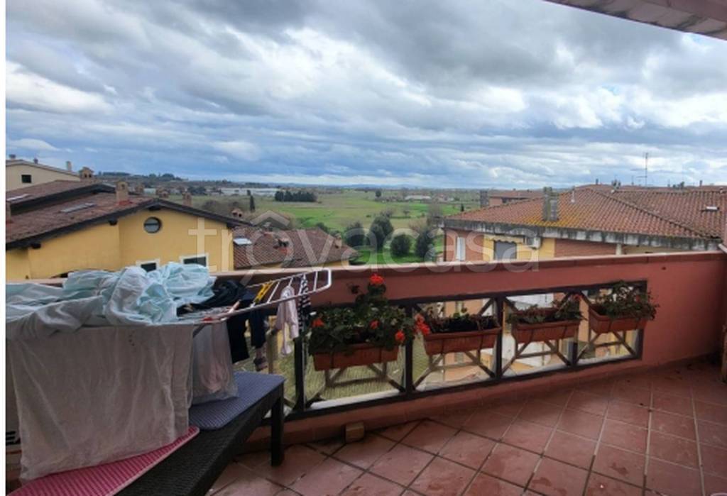 immagine annuncio 6 di 9