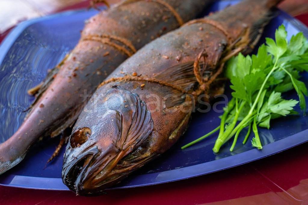 immagine annuncio 11 di 12