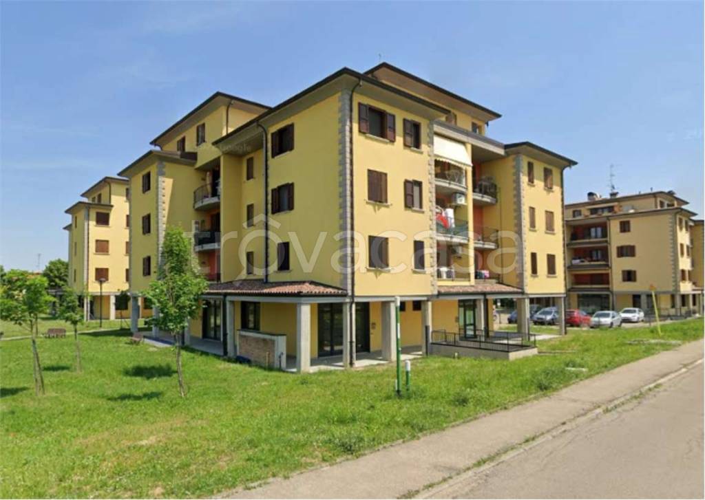 immagine annuncio 12 di 15