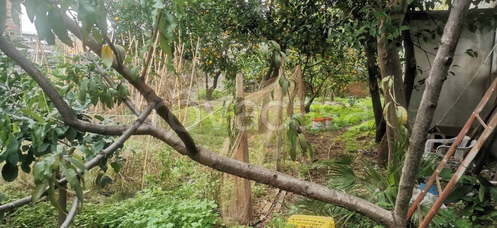 immagine annuncio 6 di 13