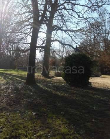 immagine annuncio 6 di 12