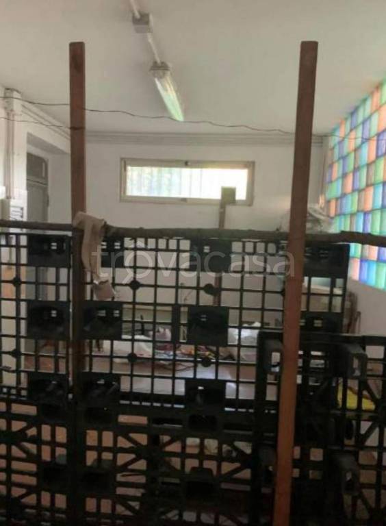 immagine annuncio 5 di 14