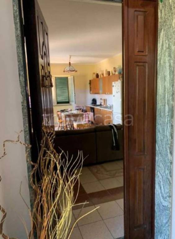 immagine annuncio 6 di 14