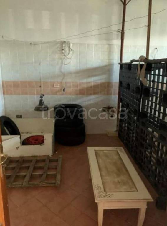 immagine annuncio 9 di 14