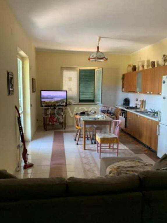 immagine annuncio 12 di 14