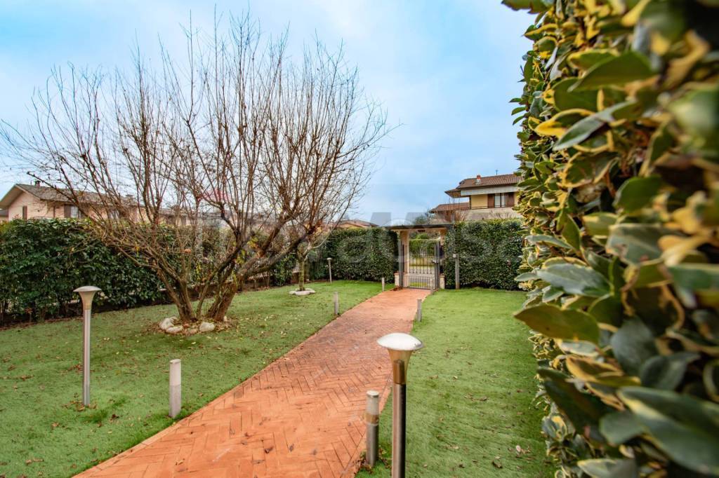 immagine annuncio 6 di 15