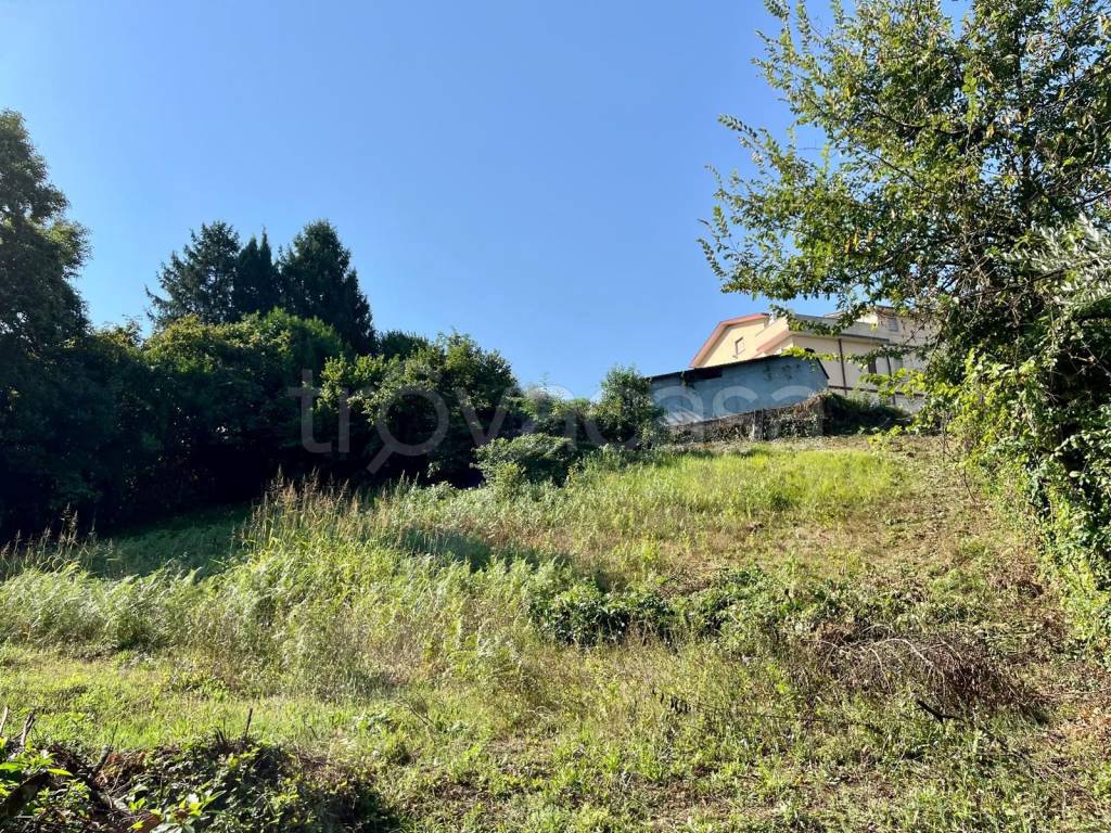 immagine annuncio 1 di 3