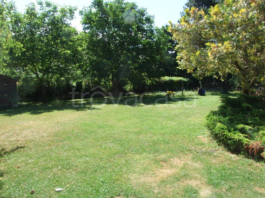 immagine annuncio 11 di 14