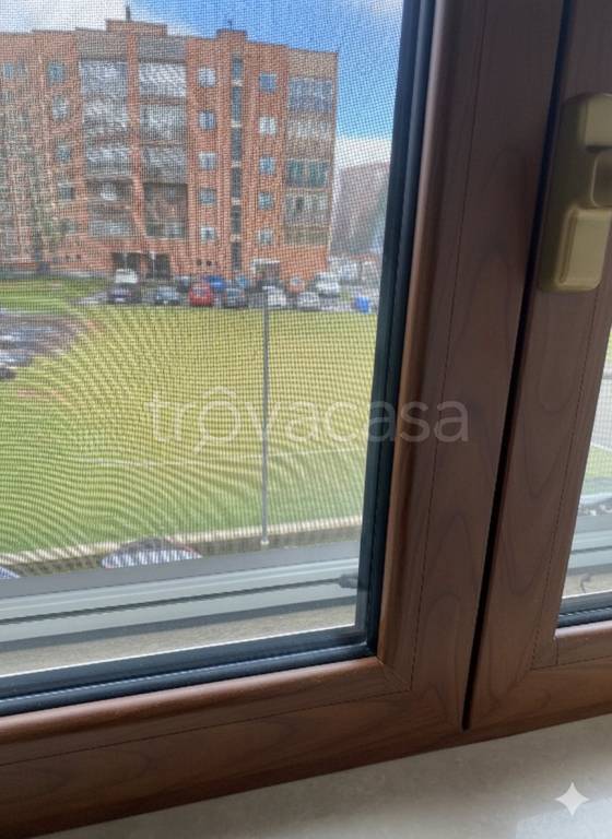 immagine annuncio 5 di 7