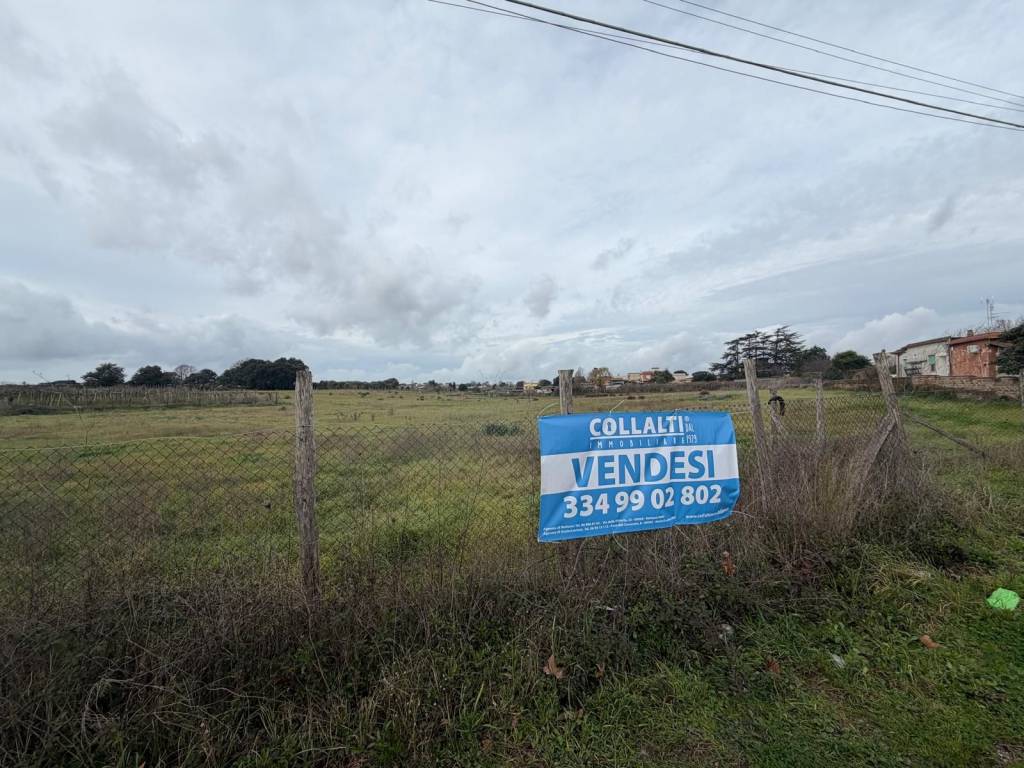 immagine annuncio 1 di 6