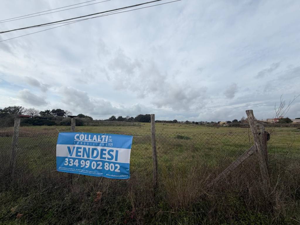 immagine annuncio 2 di 6