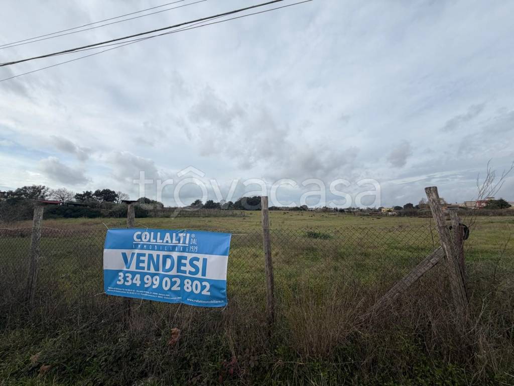 immagine annuncio 3 di 6