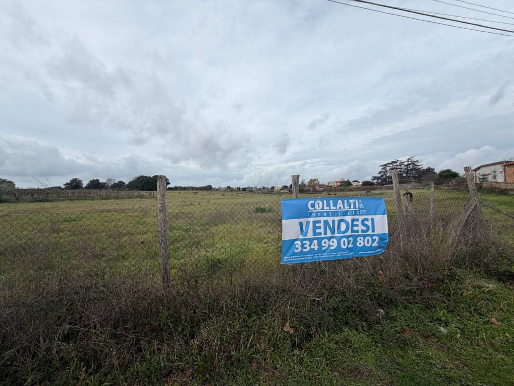 immagine annuncio 4 di 6