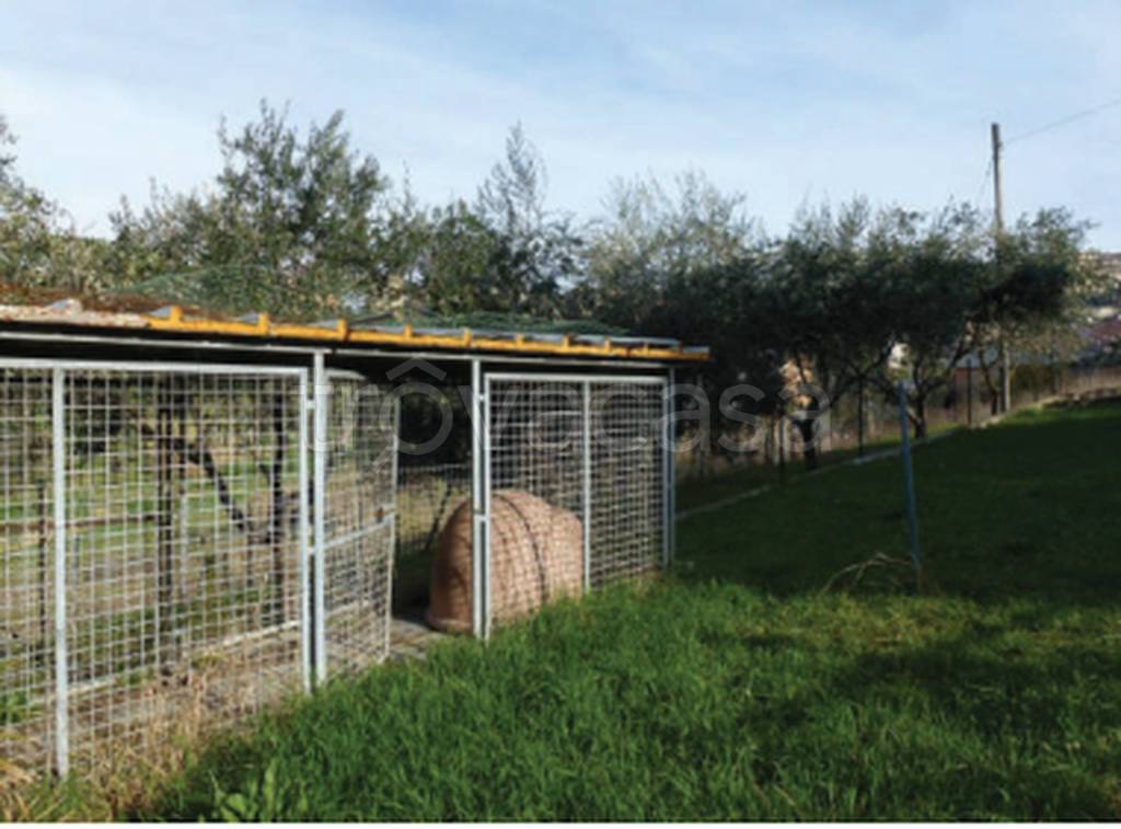 immagine annuncio 2 di 11