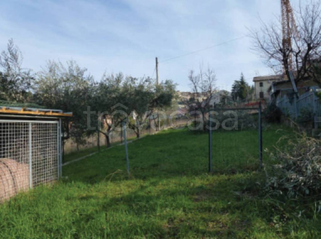 immagine annuncio 3 di 11