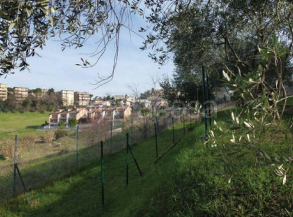 immagine annuncio 9 di 11