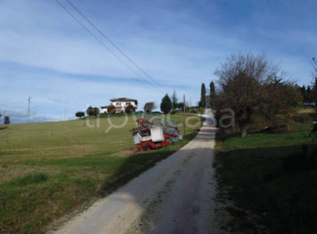 immagine annuncio 10 di 11