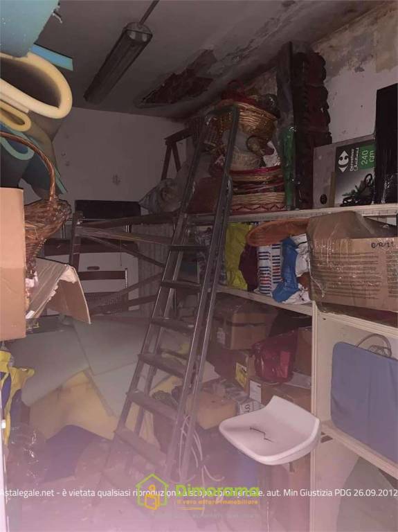 immagine annuncio 14 di 15