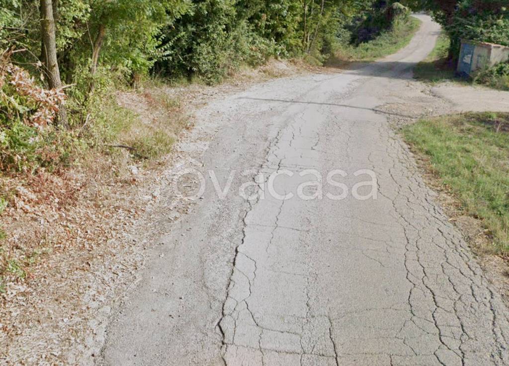 immagine annuncio 10 di 12