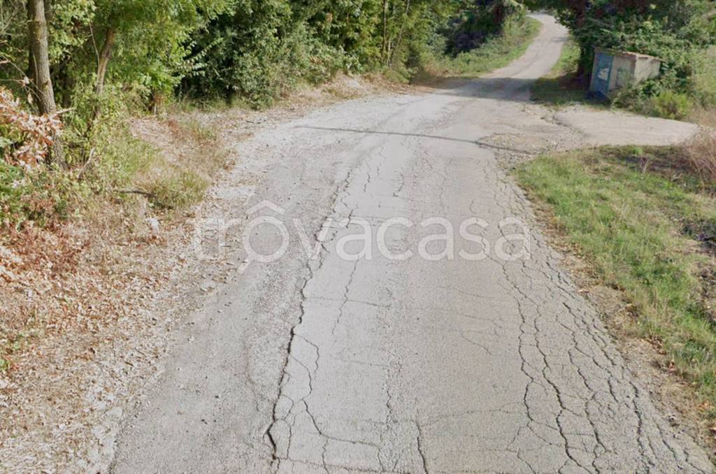 immagine annuncio 11 di 12