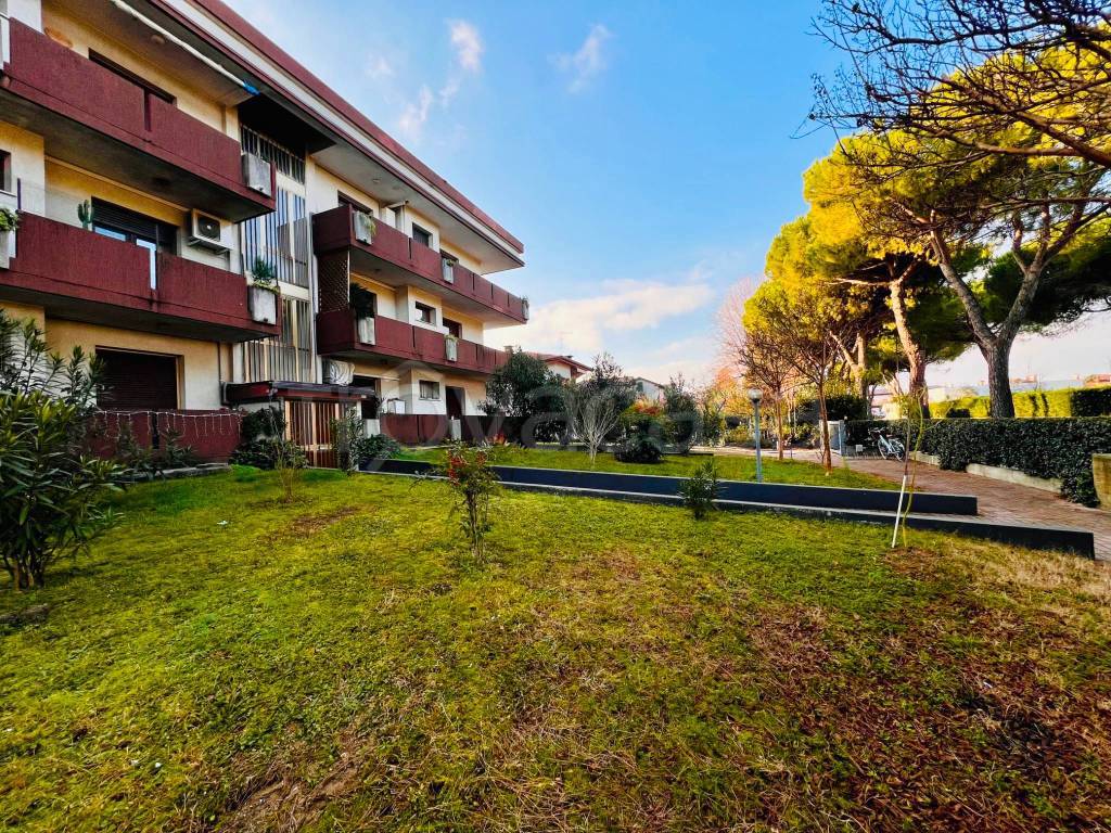 immagine annuncio 10 di 12