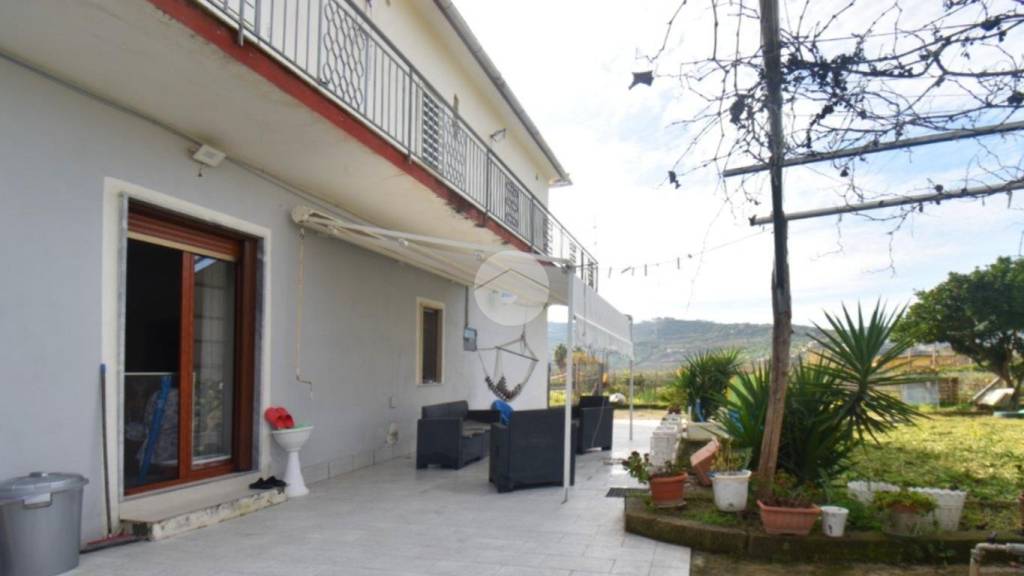 immagine annuncio 7 di 14