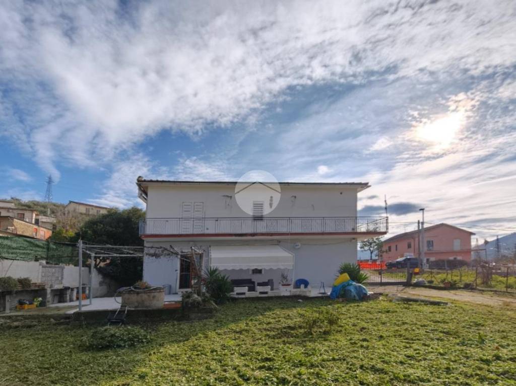 immagine annuncio 12 di 14