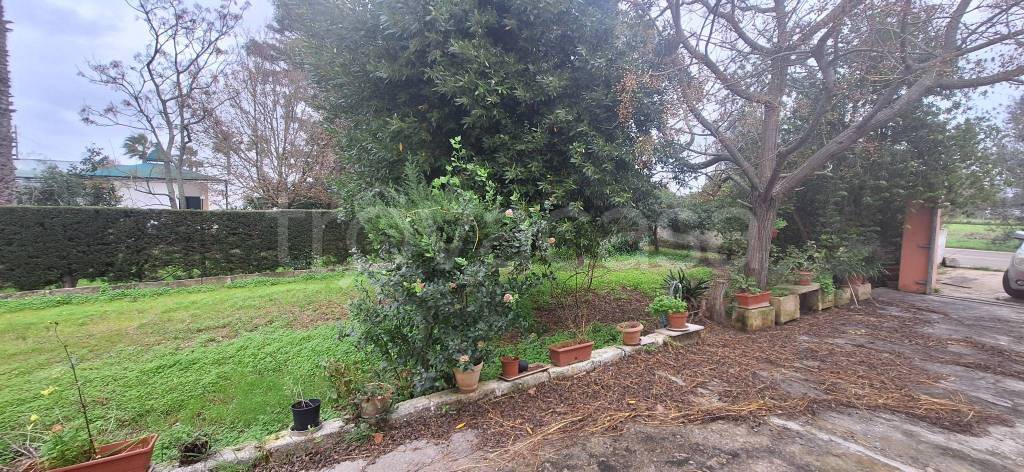 immagine annuncio 4 di 11