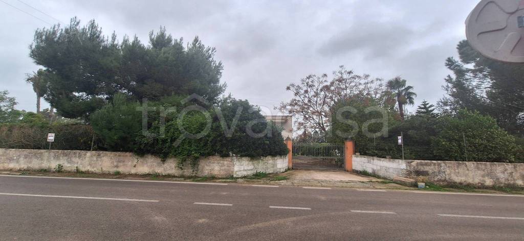 immagine annuncio 10 di 11