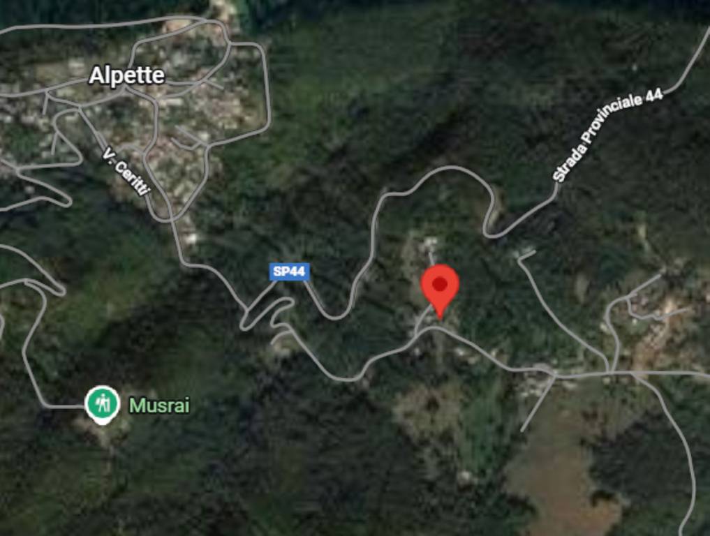 immagine annuncio 5 di 11