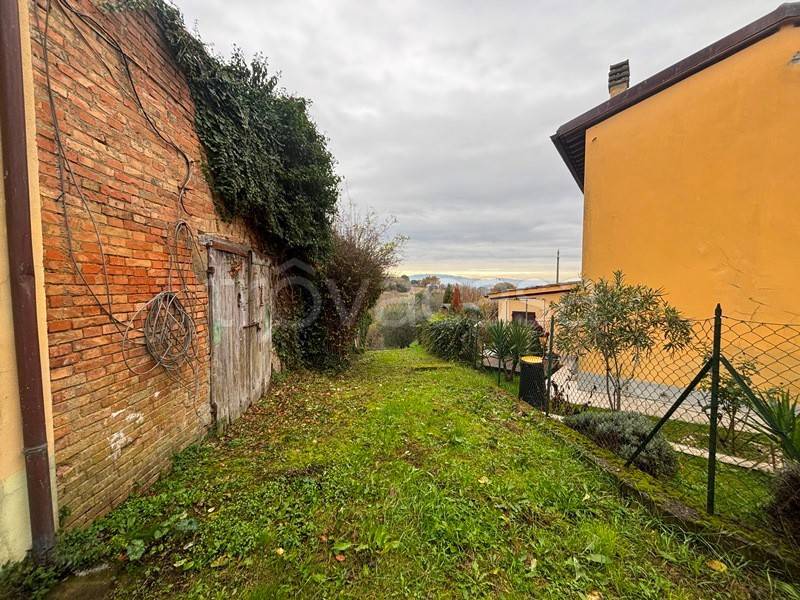 immagine annuncio 11 di 14