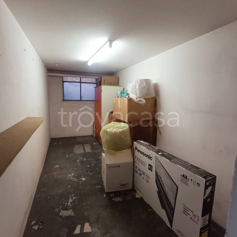 immagine annuncio 11 di 14