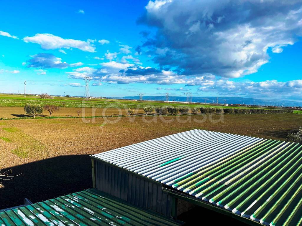 immagine annuncio 4 di 6