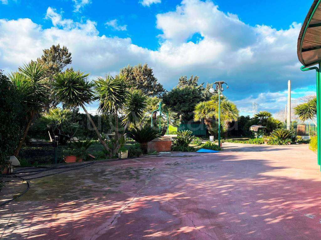 immagine annuncio 5 di 6