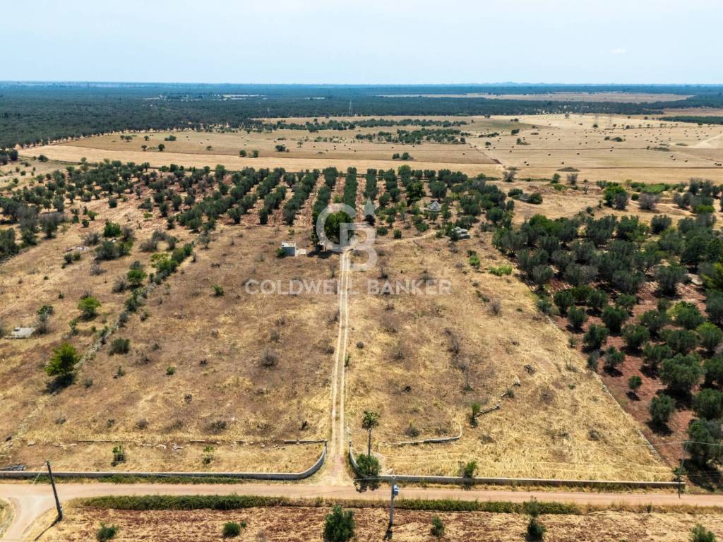 immagine annuncio 7 di 13